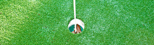 18mm ProPutt Grass - Wholesale artificial grass Perth for lawns
