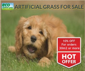 Pet friendly artificial grass for sale in Perth