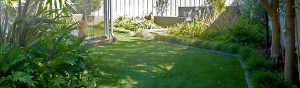 Eco Summer 35mm - Wholesale artificial grass Perth for lawns
