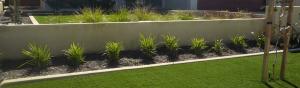 35mm Elite Grass - Wholesale artificial grass Perth for lawns