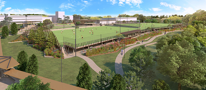 Synthetic fields of University of Queensland