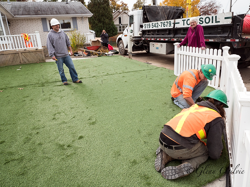 Plastic grass lawn for the Brian's